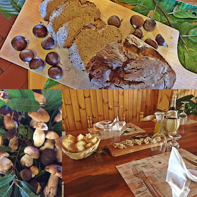 Agriturismo Bicocchi Βίλα Piteglio Εξωτερικό φωτογραφία